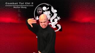 Tai chi combat tai chi chuan fight style use chen tai chi – lesson 21