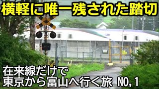 【廃線踏切】在来線だけで東京から富山へ行く旅 No,01【東京→軽井沢】