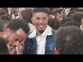 መርዓ ትግርኛ wedding music by dawit ሓሜ 2024