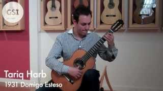 Rodrigo 'Concierto de Aranjuez - Adagio' played by Tariq Harb