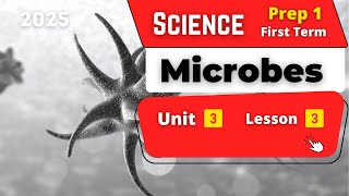 Microbes | Prep.1 | Unit 3 - Lesson 3 | Science