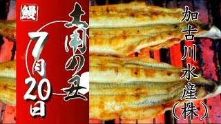 土用の丑まで13日！　加古川水産(株)