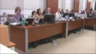 Closing arguments made in school shooter's case