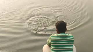 8kg grass carp fishing with hand line ( Sai River ) in pratapgarh up