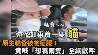 養狗不如養牠！原生貓爸被征服　「想再養兩隻」全網歡呼：終於跟我們一樣－民視新聞