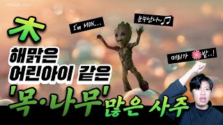 시작의 아이콘! 나무, 목기가 많은 사주 완벽정리 (봄) 🌳