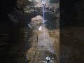 Video of Maquoketa Caves State Park, IA from Sarah B.