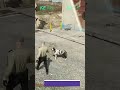 Advanced Pet Script | With Pet Shop and Actions | K9 Integration | 2024