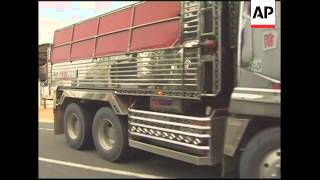 Truckers decorate their cabs