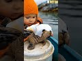 a girl rescuing baby animals rescue seal