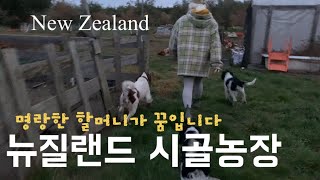 8월의 겨울바다☕찻집, 베트남음식점, 지인의🐔🐶시골농장, 가성비 좋은 시골 동네 밥집🍽️ 뉴질랜드 60 일상 브이로그