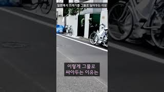 도쿄 주택가에 쓰레기를 그물로 덮어두는 진풍경의 이유