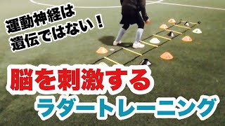 幼少期に行なうことで運動神経が変わる脳を刺激するラダートレーニング