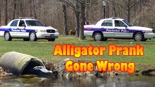 Unexpected Police Response: RC Alligator Fun!