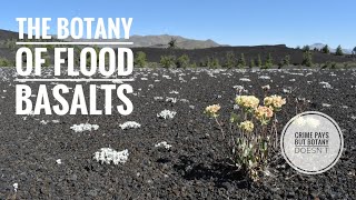 Flood Basalt Botany of Idaho