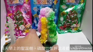 【四幸丸-科學教具】聖誕節的紙樹開花-Christmas paper tree blossom