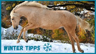 Meine WINTER HACKS im Stall | 10 Stalltipps für kalte Tage