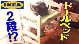 【IKEAの猫ベッド】 ドールベッドを２段ベッドにしたら猫は使ってくれるのか!? - Bunk bed for cats! IKEA Doll Beds -