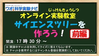 【生配信】オンライン実験教室　「サイエンスツリーをつくろう！」クリスマスの準備　前編