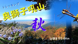 奥獅子吼山 トレッキング    秋