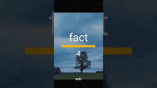 5 amazing facts about nature | last fact  @FactTechz   @ItsFacts   @DEVKeFacts  edit like fact