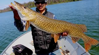 Gangler's Rockin' Trophy PIKE at North Seal River Lodge