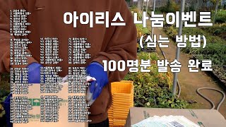 나눔이벤트 종료, 저먼아이리스 심는방법 영상 - how to grow german iris