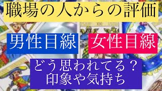 タロット占い🔮職場の人からの印象や評価。職場の人からあなたはどう思われている？男性目線、女性目線で占いました🙆‍♀️☀️【職場の人間関係】