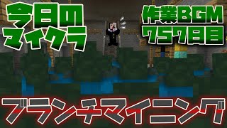 【今日のマインクラフト】～ブランチマイニング～ 【Today's Minecraft 757日目 作業BGM】