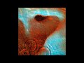 Pink Floyd - Echoes (isolated organ)