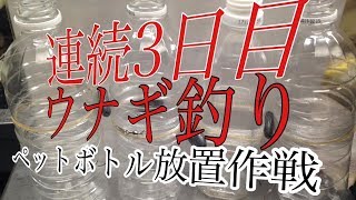 ウナギ釣り3日目ペットボトル法導入しました。ウナギの穴場結果は果たして・・・