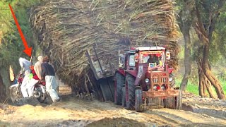 Dangerous vehicles | Belarus Tractors pulling sugarcane loaded trailer at road under construction