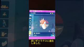 【ポケモンSV】赤いギャラドス産まれました。#shorts