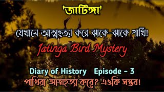 জাটিঙ্গা : যেখানে আত্মহত্যা করে ঝাঁকে-ঝাঁকে পাখি! | Jatinga Bird Mystery | Ep - 3, Diary of History