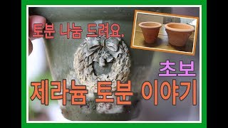 초보 제라늄 토분 이야기 (토분 나눔 이벤트) ㅣ Clay pot for pelargonium (Event)