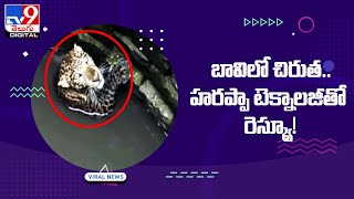 Viral : బావిలో చిరుత.. హరప్పా టెక్నాలజీతో రెస్క్యూ!   @TV9TeluguDigital