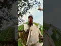 insta360 van reaction #mrrafansakib #insta360 #funny #comedy