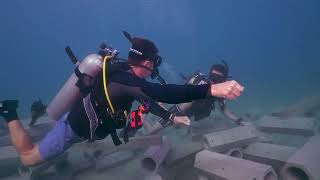 ReefSystems: Artificial reef project on Koh Tao, Thailand