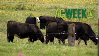 AgweekTV Full Show S06E38