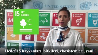 Global Goals video turu - Hedef 15