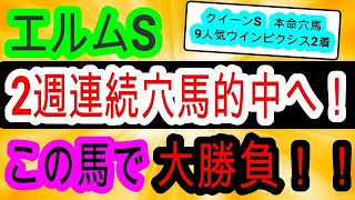 【競馬予想】エルムステークス2023\u0026レパードS2023　自信の穴馬本命で2週連続的中なるか！？　オーソリティは消して大万馬券を狙います！！