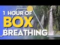 1 Hour of Box Breathing for Stress Relief: 5-5-5-5