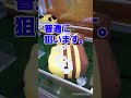 【クレーンゲーム】マインクラフト🐝ぬいぐるみ確率get❗