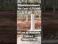 Low budget Coconut trees Farm Land for sale#🌴🌴🌴🌴