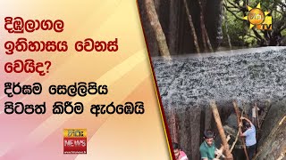 දිඹුලාගල ඉතිහාසය වෙනස් වෙයිද? - දීර්ඝම සෙල්ලිපිය පිටපත් කිරීම ඇරඹෙයි - Hiru News