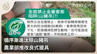 循序漸進汰除山豬吊 農業部推改良式獵具｜每日熱點新聞｜原住民族電視台