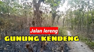 Pesona jalan tengah hutan lereng gunung kendeng ,ngawi, umar arif