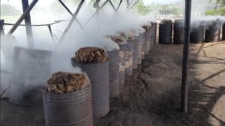 PERSIAPAN PEMUPUKAN DURIAN 