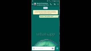 WhatsApp'da yolladığım mesaj alındı mı, okundu mu?