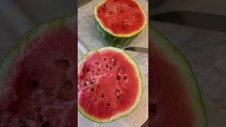 Watermelon FARAO, Chernihiv region, Ukraine 2023, 14 kg